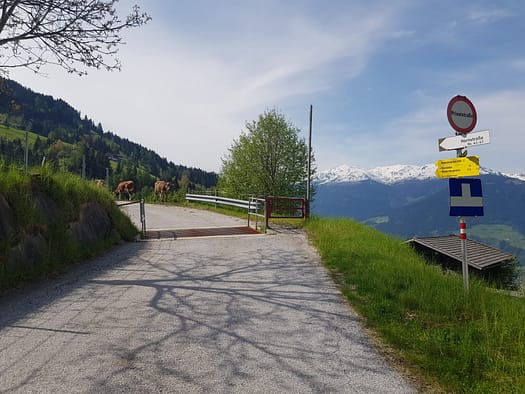 Wiedersberger Horn 2.127 m (Wanderung) Wiedersberger Horn 2.127 m vom Zillertal Wanderung 1