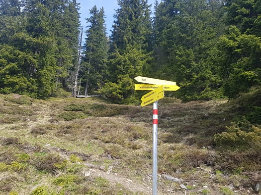 Wiedersberger Horn 2.127 m (Wanderung) Wiedersberger Horn 2.127 m vom Zillertal Wanderung 12