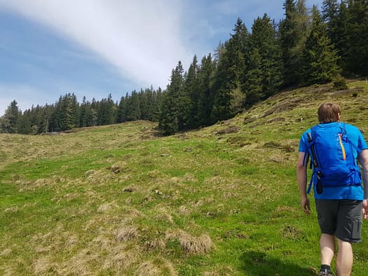 Wiedersberger Horn 2.127 m (Wanderung) Wiedersberger Horn 2.127 m vom Zillertal Wanderung 13