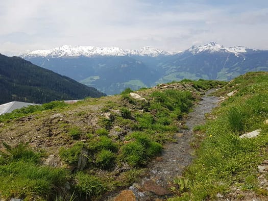 Wiedersberger Horn 2.127 m (Wanderung) Wiedersberger Horn 2.127 m vom Zillertal Wanderung 14