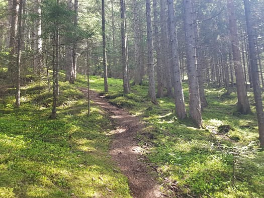 Wiedersberger Horn 2.127 m (Wanderung) Wiedersberger Horn 2.127 m vom Zillertal Wanderung 18