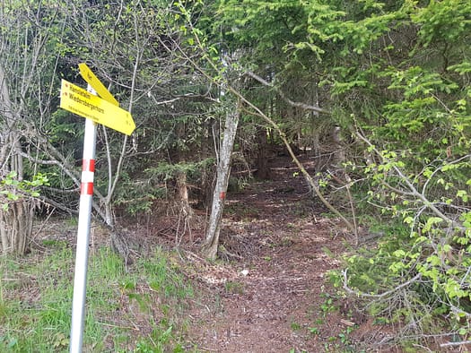 Wiedersberger Horn 2.127 m (Wanderung) Wiedersberger Horn 2.127 m vom Zillertal Wanderung 19