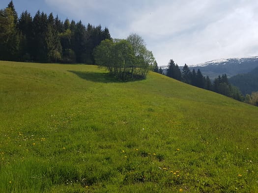 Wiedersberger Horn 2.127 m (Wanderung) Wiedersberger Horn 2.127 m vom Zillertal Wanderung 20