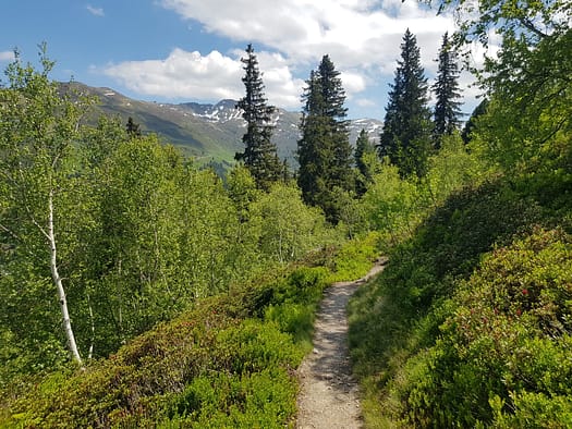 Sonntagsköpfl 2.244 m von Hochfügen (Wanderung) Sonntagskoepfl 2.244 m von Hochfuegen Wanderung 3