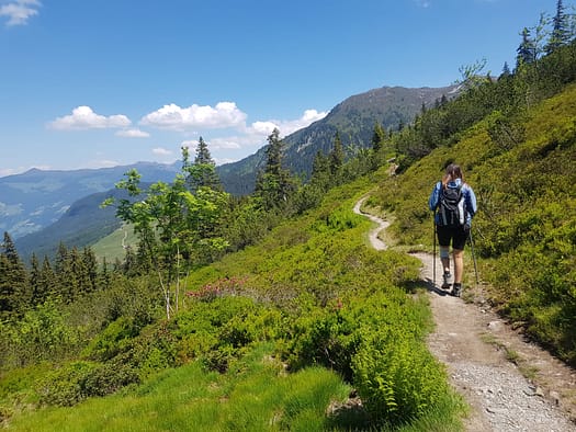 Sonntagsköpfl 2.244 m von Hochfügen (Wanderung) Sonntagskoepfl 2.244 m von Hochfuegen Wanderung 4