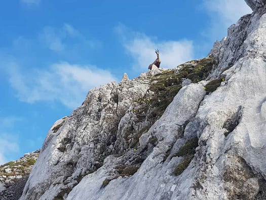 Speckkarspitze 2.621 m (Bergtour) Speckkarspitze 2.621 m Bergtour 26