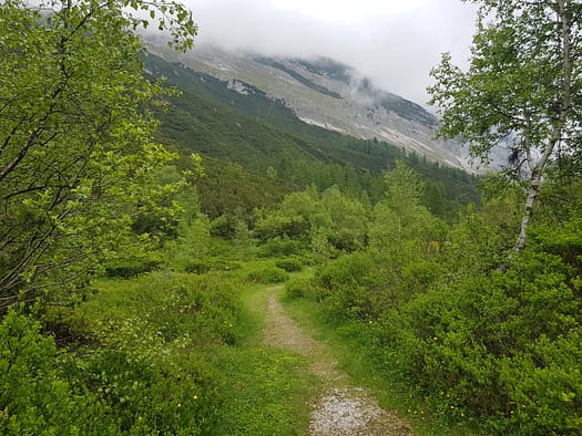 Speckkarspitze 2.621 m (Bergtour) Speckkarspitze 2.621 m Bergtour 48