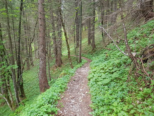 Speckkarspitze 2.621 m (Bergtour) Speckkarspitze 2.621 m Bergtour 49