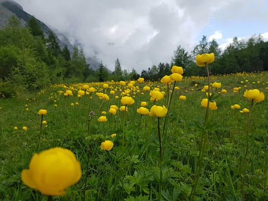 Speckkarspitze 2.621 m (Bergtour) Speckkarspitze 2.621 m Bergtour 50