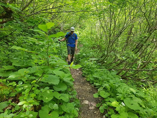 Speckkarspitze 2.621 m (Bergtour) Speckkarspitze 2.621 m Bergtour 51