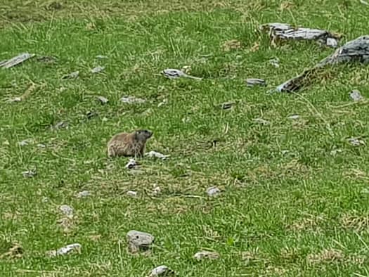 Wandspitze 2.614 m & Kellenspitze 2.179 m (Wanderung) Wandspitze 2.614 m Kellenspitze 2.179 m Wanderung 2