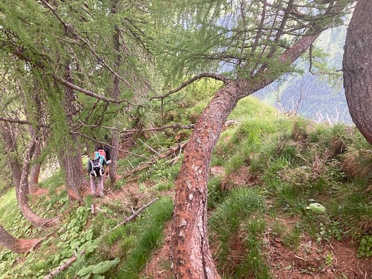 Wandspitze 2.614 m & Kellenspitze 2.179 m (Wanderung) Wandspitze 2.614 m Kellenspitze 2.179 m Wanderung 21