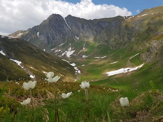 Wandspitze 2.614 m & Kellenspitze 2.179 m (Wanderung) Wandspitze 2.614 m Kellenspitze 2.179 m Wanderung 4