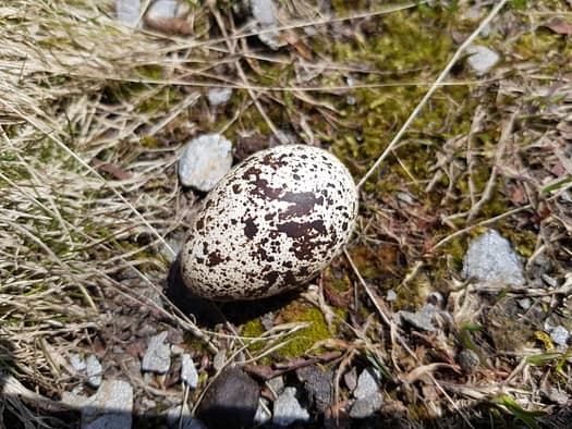 Wandspitze 2.614 m & Kellenspitze 2.179 m (Wanderung) Wandspitze 2.614 m Kellenspitze 2.179 m Wanderung 8