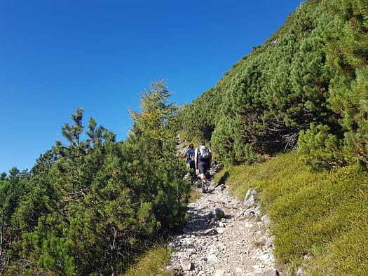 Ebner Joch 1.957 m (Wanderung) Ebner Joch 1.957 m Wanderung 10