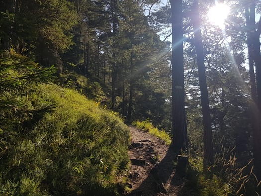 Ebner Joch 1.957 m (Wanderung) Ebner Joch 1.957 m Wanderung 3