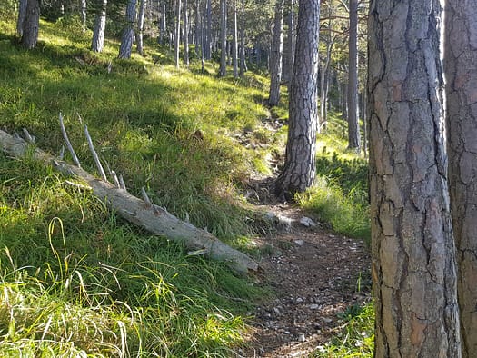 Ebner Joch 1.957 m (Wanderung) Ebner Joch 1.957 m Wanderung 7