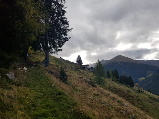 Hirzer 2.725 m (Wanderung) Hirzer 2.725 m Wanderung 10