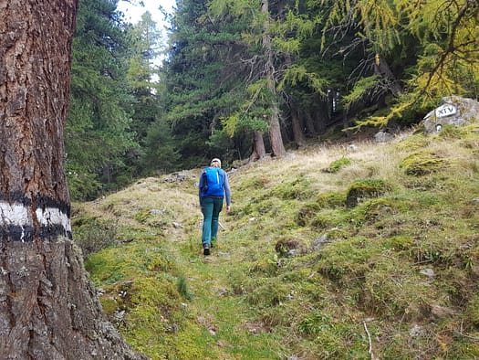 Hirzer 2.725 m (Wanderung) Hirzer 2.725 m Wanderung 11