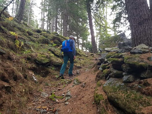 Hirzer 2.725 m (Wanderung) Hirzer 2.725 m Wanderung 12