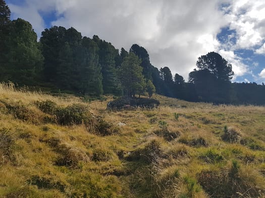 Hirzer 2.725 m (Wanderung) Hirzer 2.725 m Wanderung 15