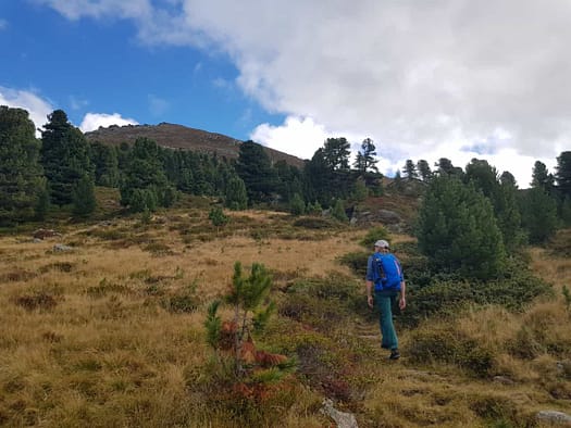 Hirzer 2.725 m (Wanderung) Hirzer 2.725 m Wanderung 16