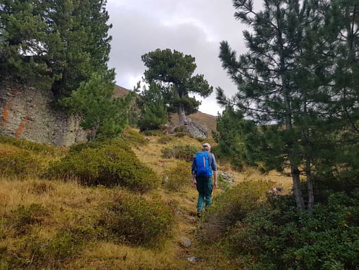 Hirzer 2.725 m (Wanderung) Hirzer 2.725 m Wanderung 17