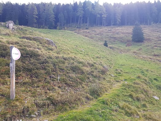 Hirzer 2.725 m (Wanderung) Hirzer 2.725 m Wanderung 8