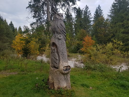 Seekarspitze 2.053 m (Wanderung) Seekarspitze 2.053 m Wanderung 13