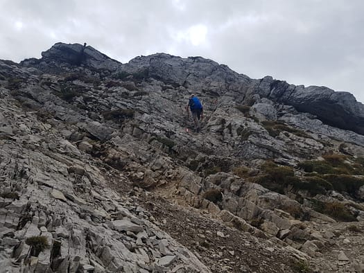Seekarspitze 2.053 m (Wanderung) Seekarspitze 2.053 m Wanderung 19