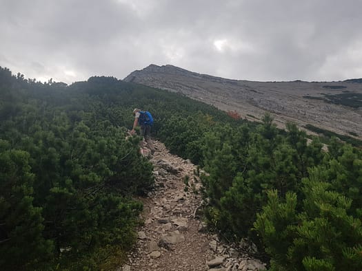 Seekarspitze 2.053 m (Wanderung) Seekarspitze 2.053 m Wanderung 21