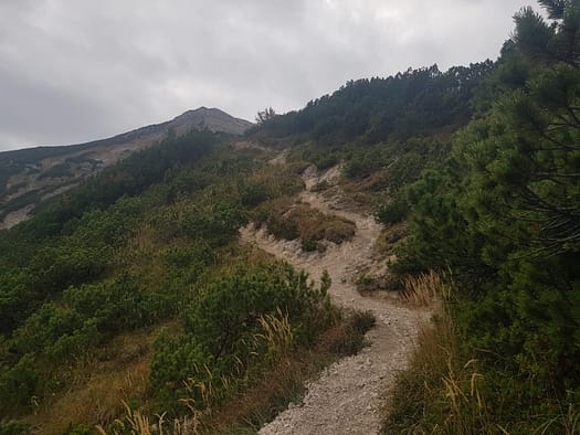 Seekarspitze 2.053 m (Wanderung) Seekarspitze 2.053 m Wanderung 22