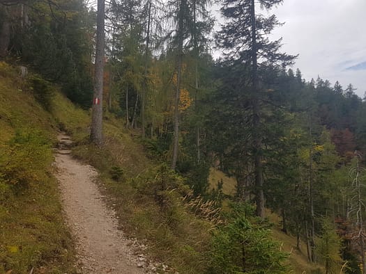 Seekarspitze 2.053 m (Wanderung) Seekarspitze 2.053 m Wanderung 26