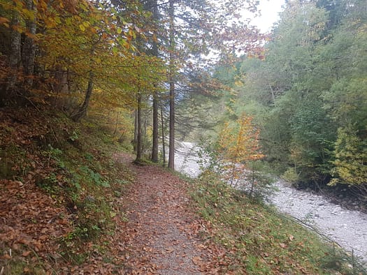 Seekarspitze 2.053 m (Wanderung) Seekarspitze 2.053 m Wanderung 30