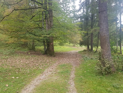 Seekarspitze 2.053 m (Wanderung) Seekarspitze 2.053 m Wanderung 31
