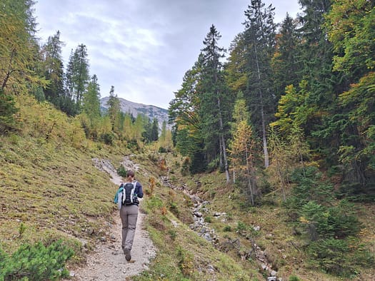 Seekarspitze 2.053 m (Wanderung) Seekarspitze 2.053 m Wanderung 36