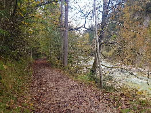 Tiefenbachklamm (Wanderung) Tiefenbachklamm Wanderung 5