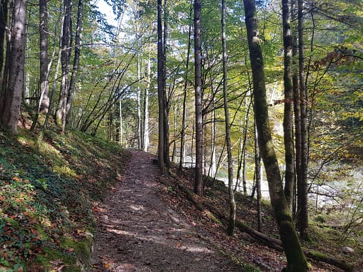 Tiefenbachklamm (Wanderung) Tiefenbachklamm Wanderung 7