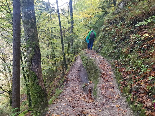 Tiefenbachklamm (Wanderung) Tiefenbachklamm Wanderung 9
