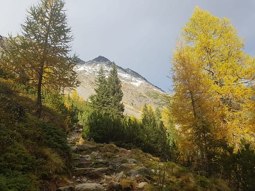 Winnebachseehütte 2.362 m (Wanderung) von Gries Winnebachseehuette 2.362 m Wanderung 17