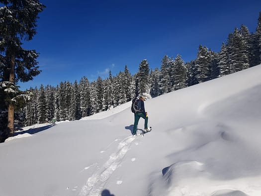Karspitz X-Press Bergstation (Schneeschuhwandern) Karspitz X Press Bergstation Schneeschuhwandern 12