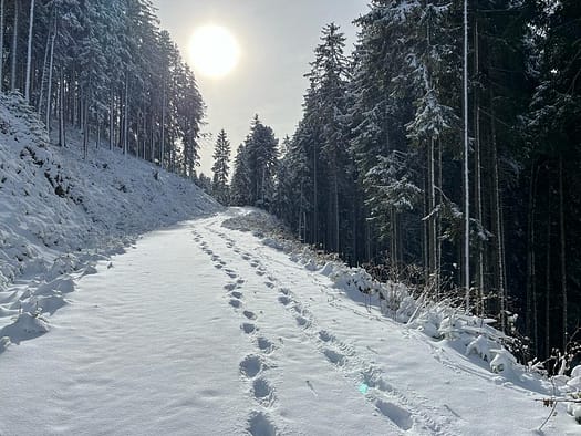 Karspitz X-Press Bergstation (Schneeschuhwandern) Karspitz X Press Bergstation Schneeschuhwandern 7