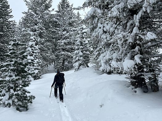 Zillertal Arena (Skitour) Zillertal Arena Skitour 10