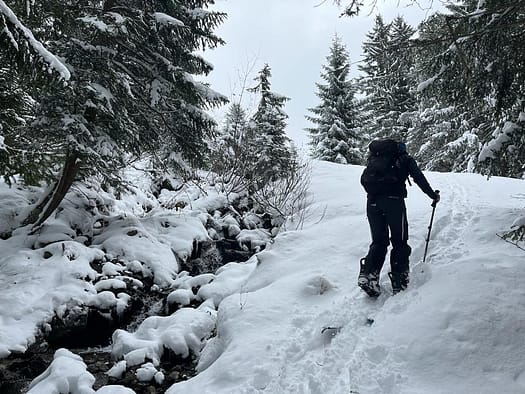 Zillertal Arena (Skitour) Zillertal Arena Skitour 12