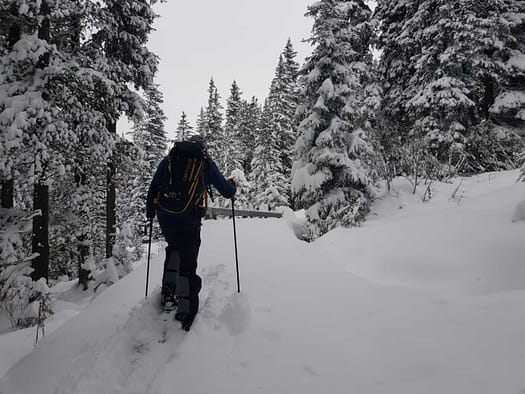 Zillertal Arena (Skitour) Zillertal Arena Skitour 3