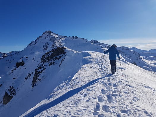 Geier 2.857 m & Mölser Sonnenspitze 2.496 m (Skitour) Geier 2.857 m Moelser Sonnenspitze 2.496 m Skitour 41