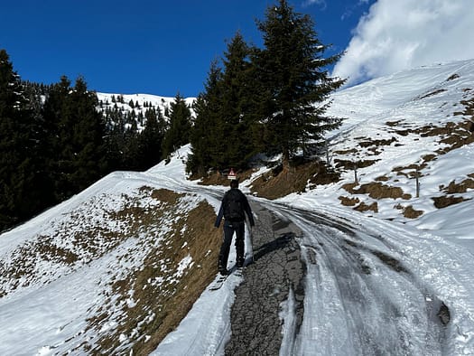 Tamlspitz 2.608 m (Skitour) WhatsApp Image 2024 03 09 at 14.37.26 1