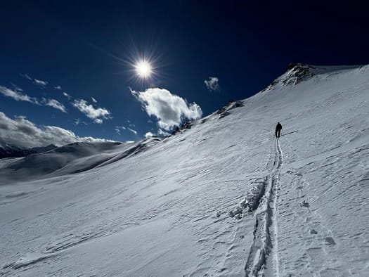 Tamlspitz 2.608 m (Skitour) WhatsApp Image 2024 03 09 at 14.37.26 7