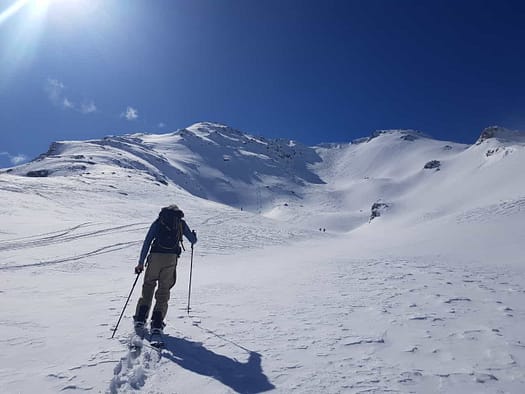 Tamlspitz 2.608 m (Skitour) WhatsApp Image 2024 03 09 at 14.37.41 1