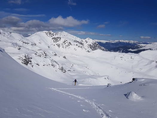 Tamlspitz 2.608 m (Skitour) WhatsApp Image 2024 03 09 at 14.37.42 2